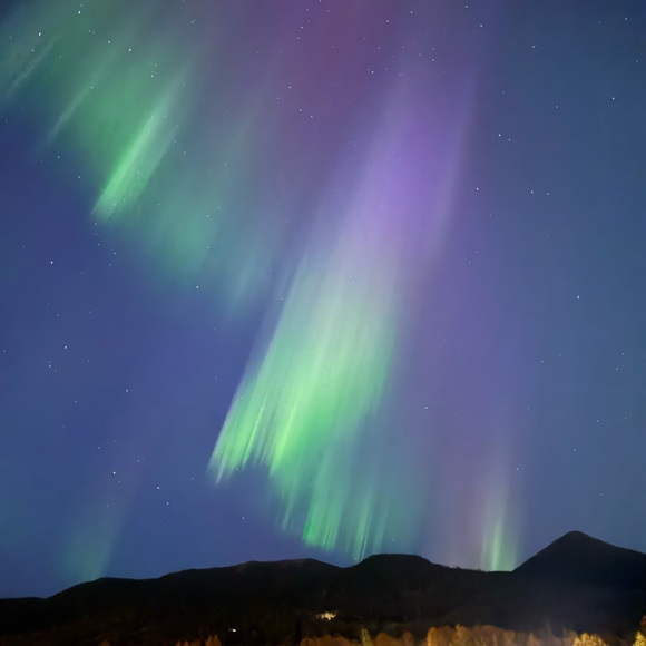 @fashionmiminak Live Listing Notification - Picture 4 of 4